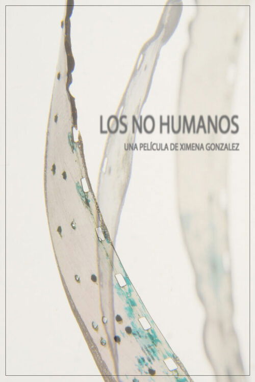 Los no humanos