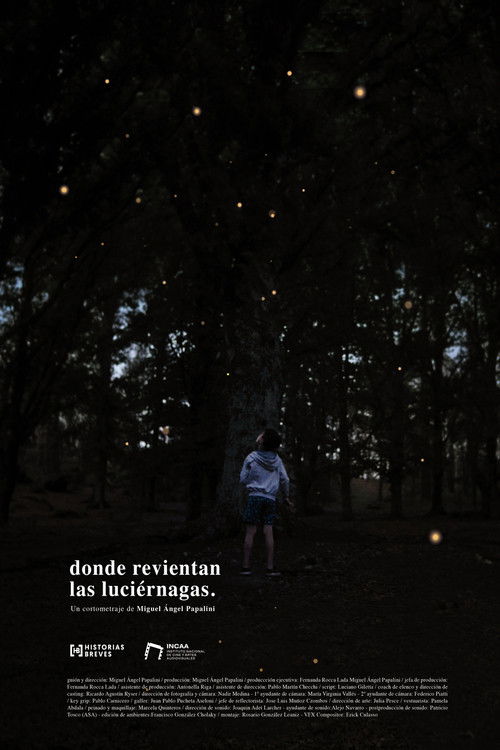 Donde revientan las luciérnagas