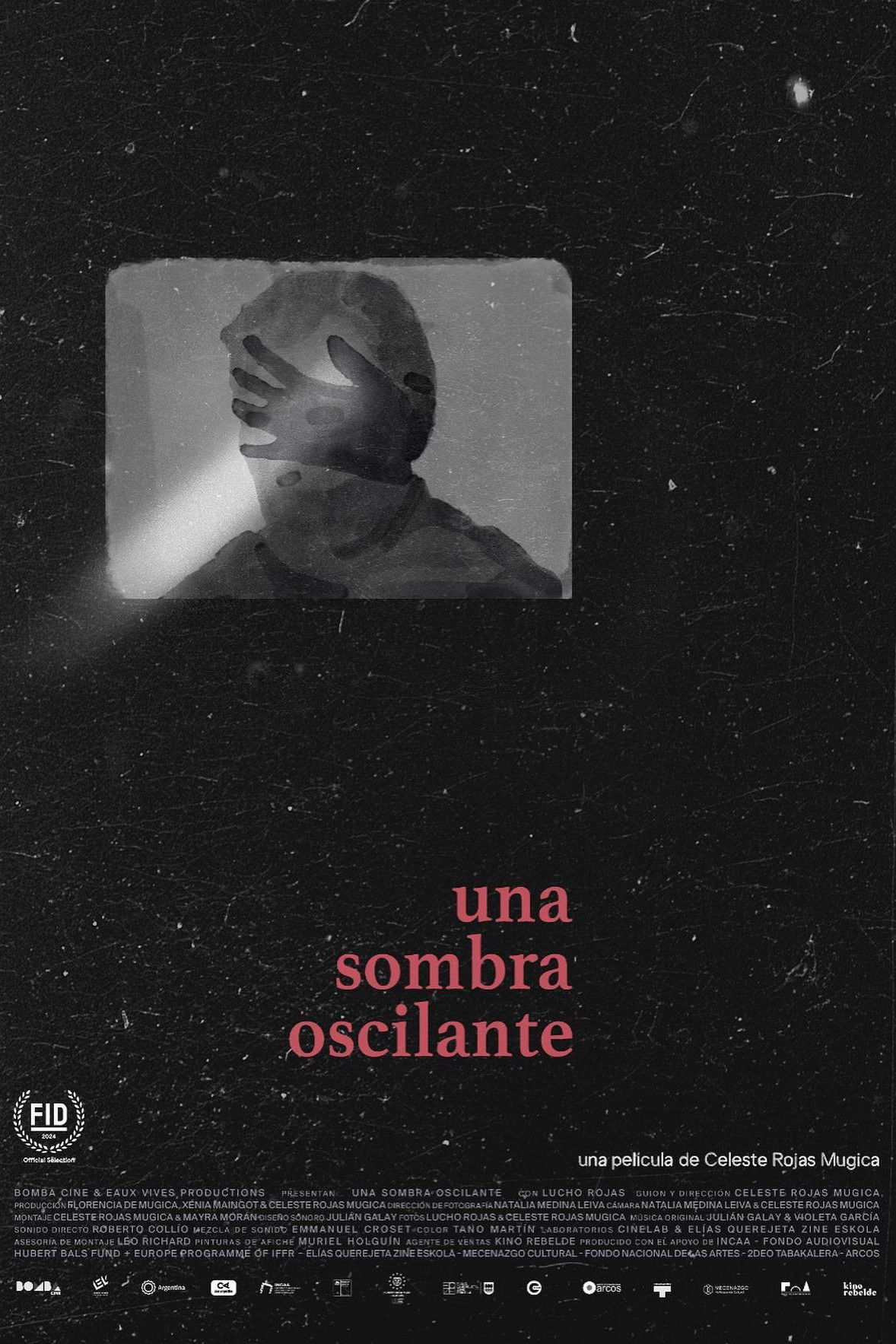 Una sombra oscilante