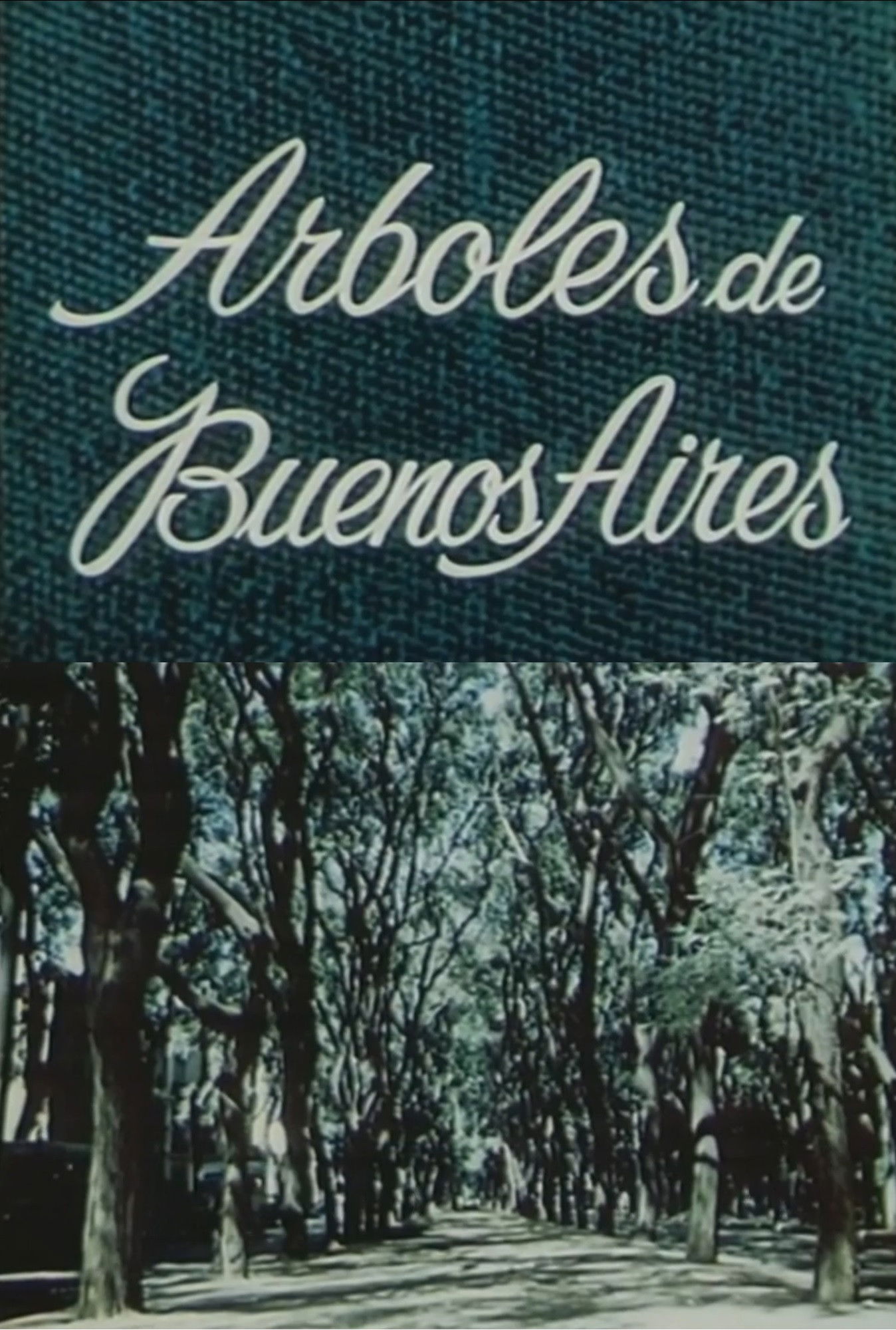 Los árboles de Buenos Aires