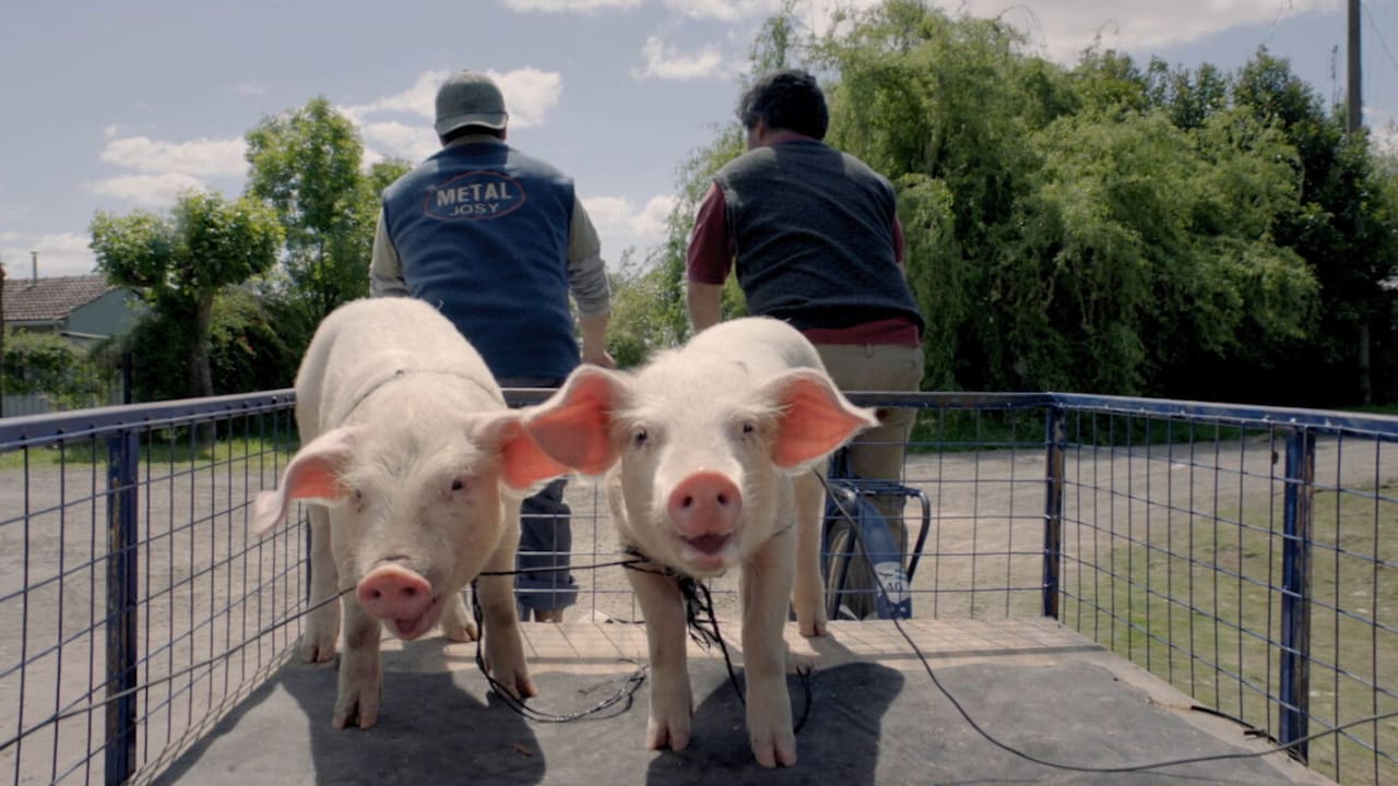 Fotograma de La odisea de los giles (2019)