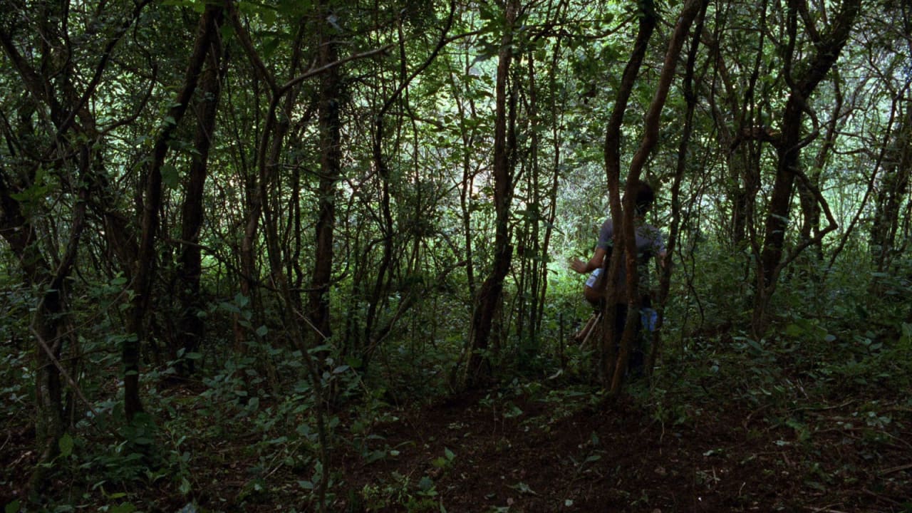 Fotograma de La ciénaga (2001)