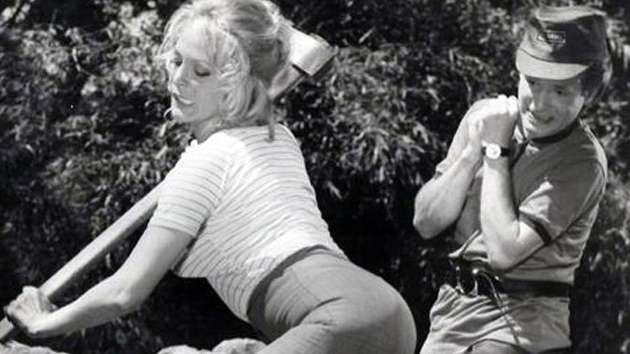 Fotograma de El profesor erótico (1976)