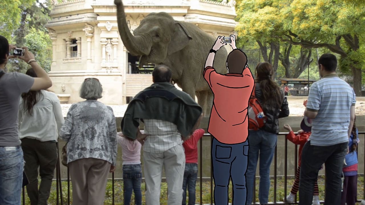 Fotograma de Zoofobia (2022)