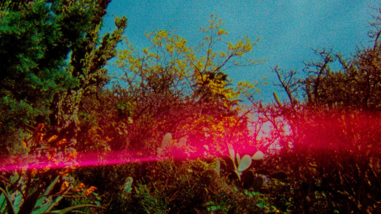 Fotograma de Herbaria (2022)