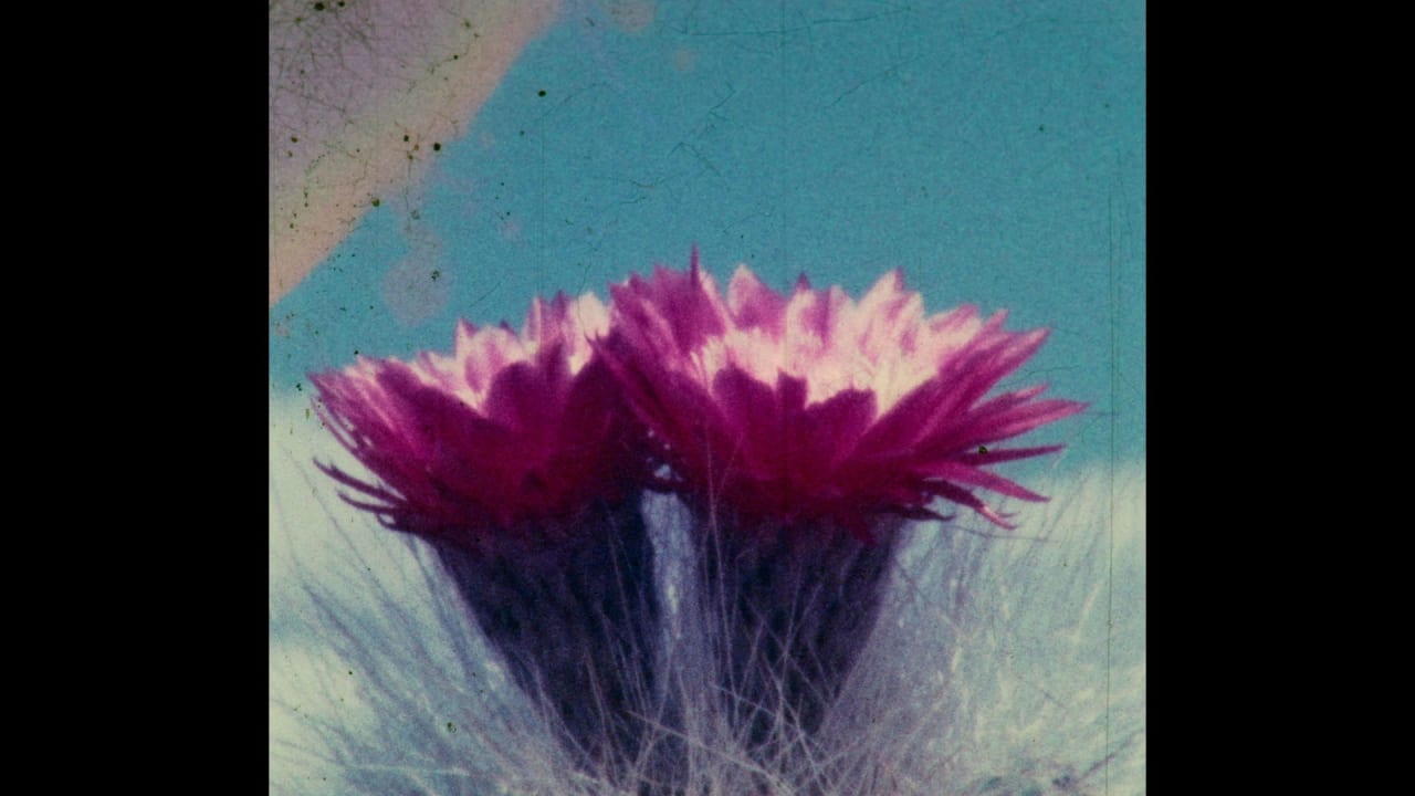 Fotograma de Herbaria (2022)