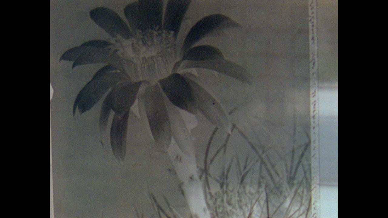 Fotograma de Herbaria (2022)