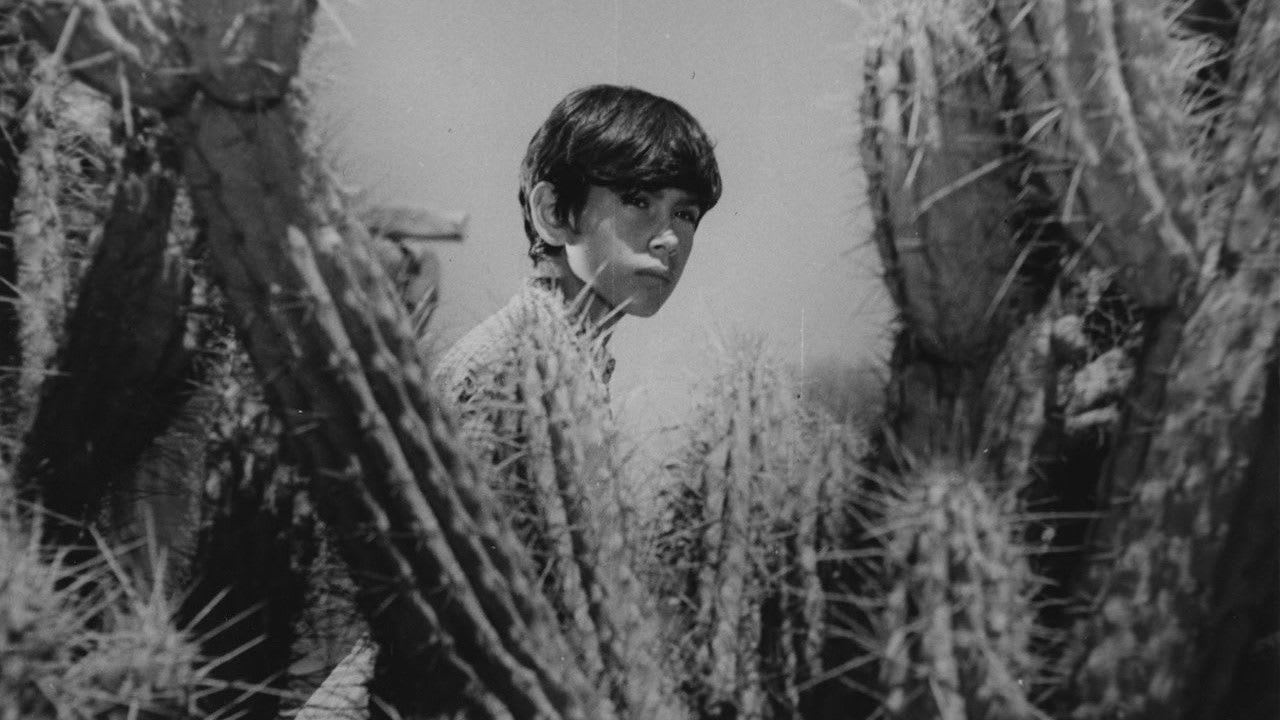 Fotograma de Shunko (1960)