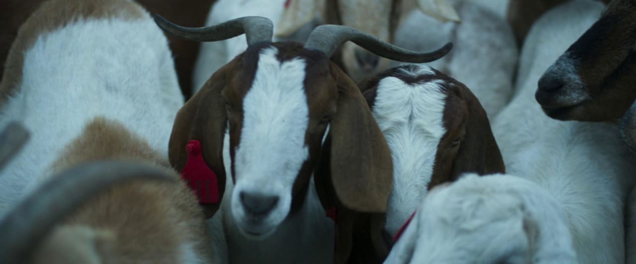 Fotograma de Cuando acecha la maldad (2023)