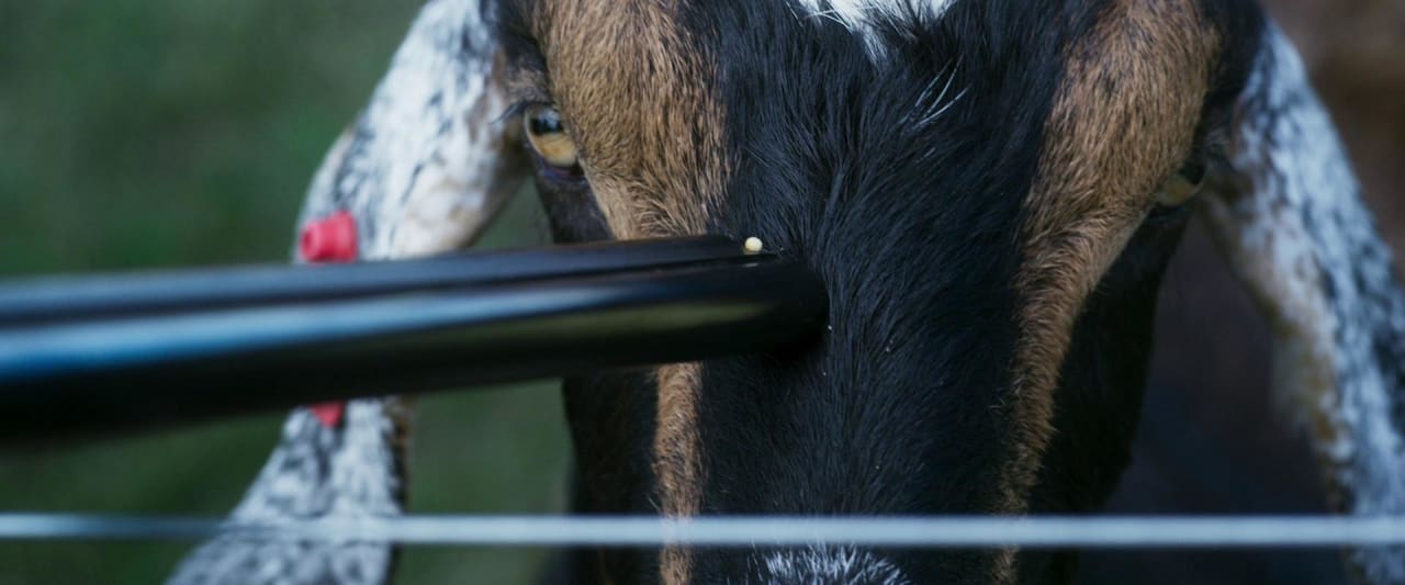 Fotograma de Cuando acecha la maldad (2023)