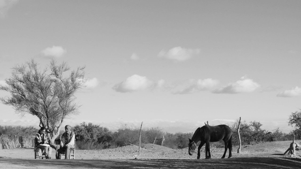 Fotograma de La calma (2023)