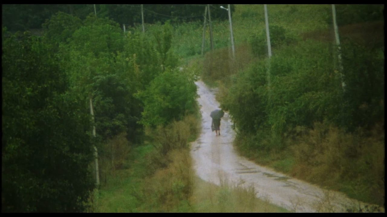 Fotograma de Adentro mío estoy bailando (2024)