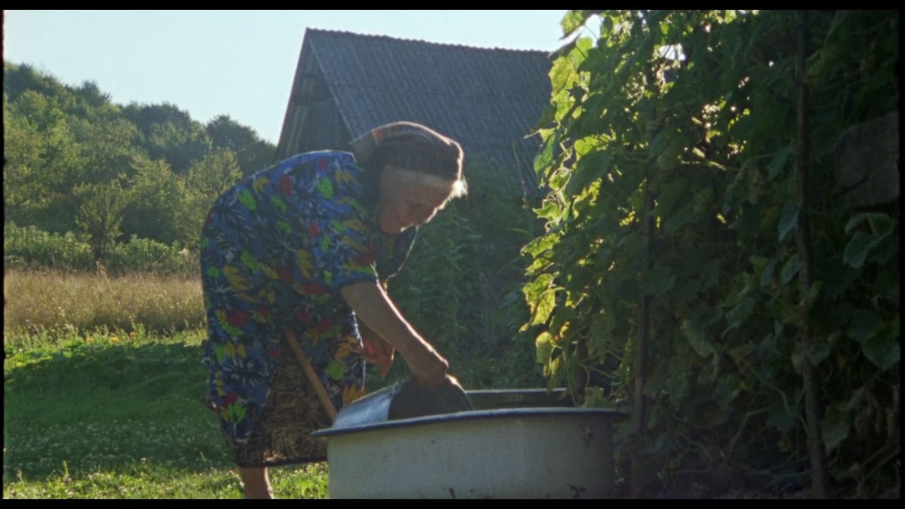 Fotograma de Adentro mío estoy bailando (2024)