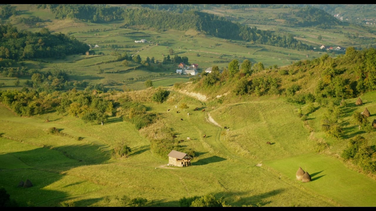 Fotograma de Adentro mío estoy bailando (2024)
