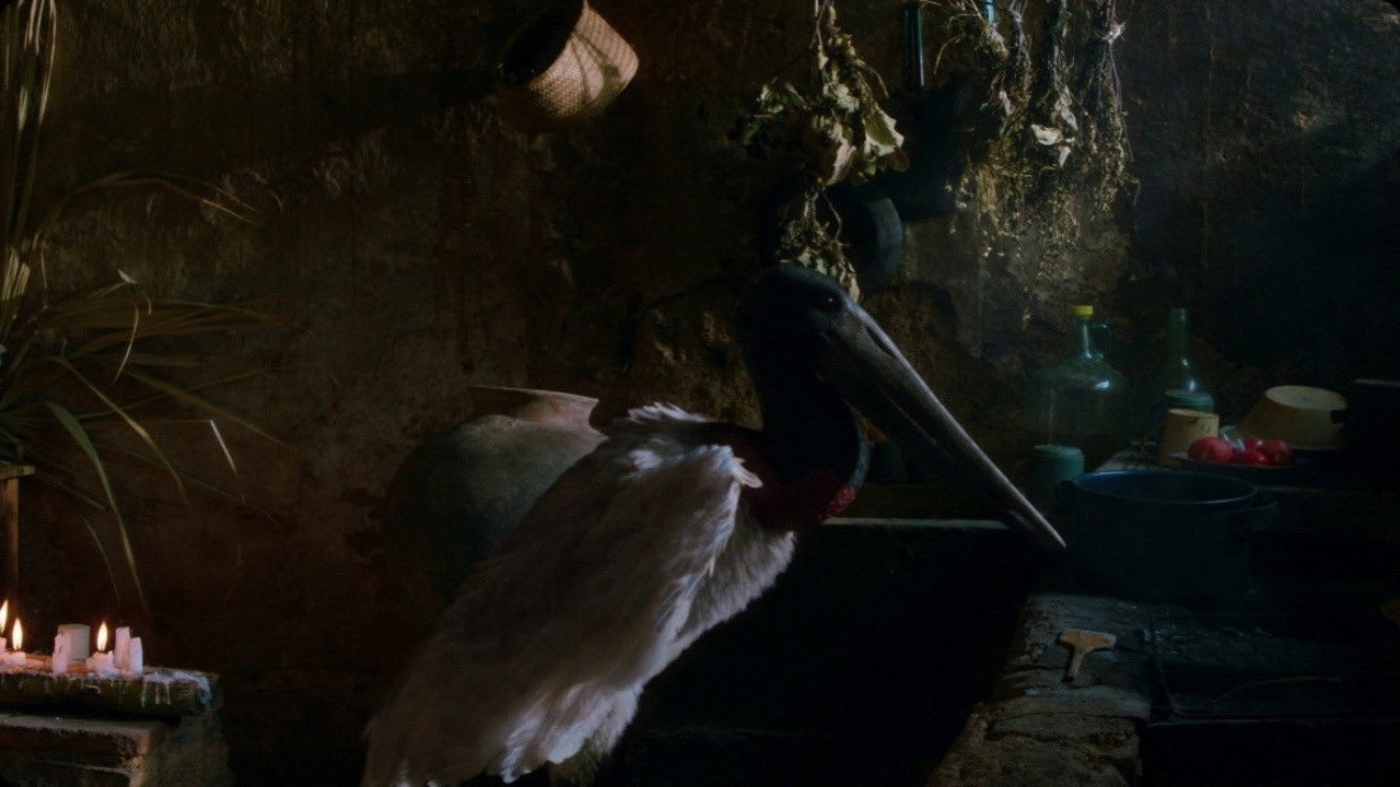 Fotograma de Eureka (2024)