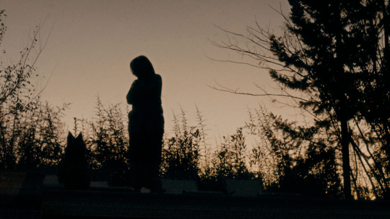 Fotograma de Salvajes (2024)