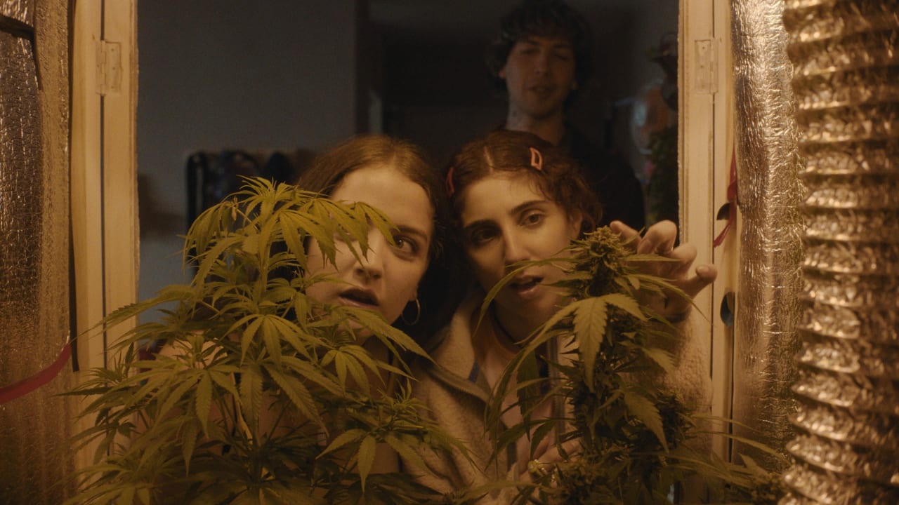 Fotograma de Verano Trippin (2025)