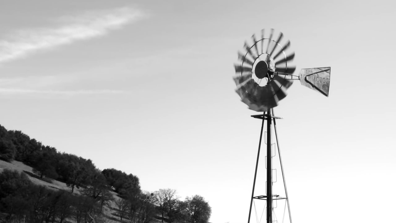 Fotograma de Algo ha cambiado: Un viaje quijotesco al blues local (2026)
