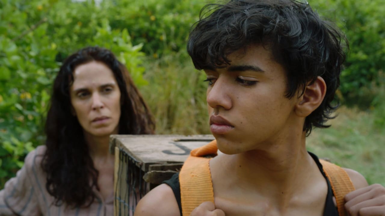 Fotograma de Siempre vuelven (2025)