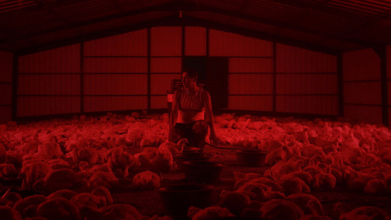 Fotograma de Amantes en el cielo (2025)