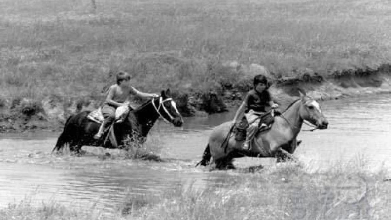 Fotograma de El verano del potro (1991)