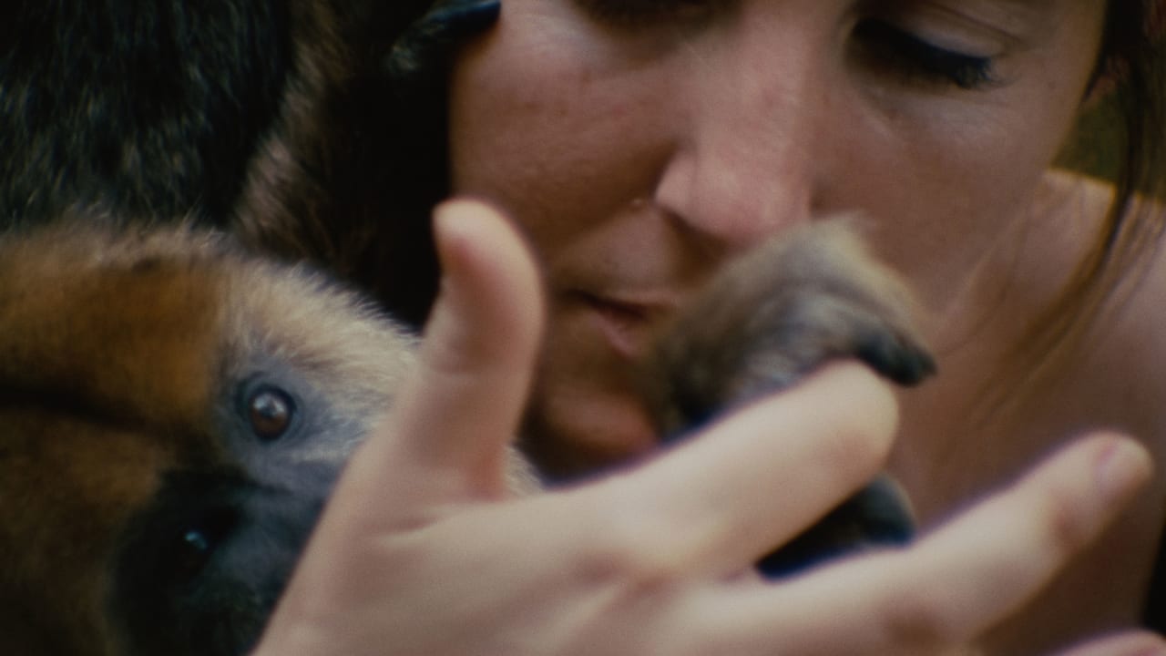 Fotograma de Monólogo colectivo (2025)