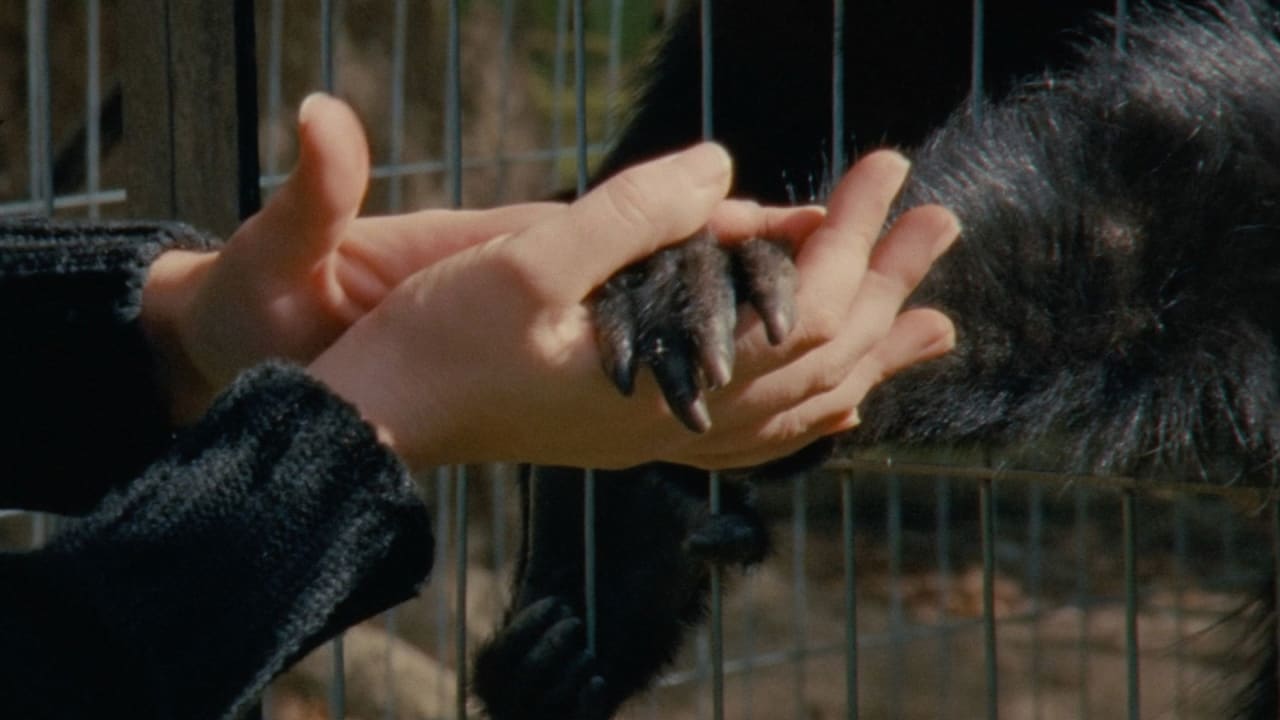 Fotograma de Monólogo colectivo (2025)