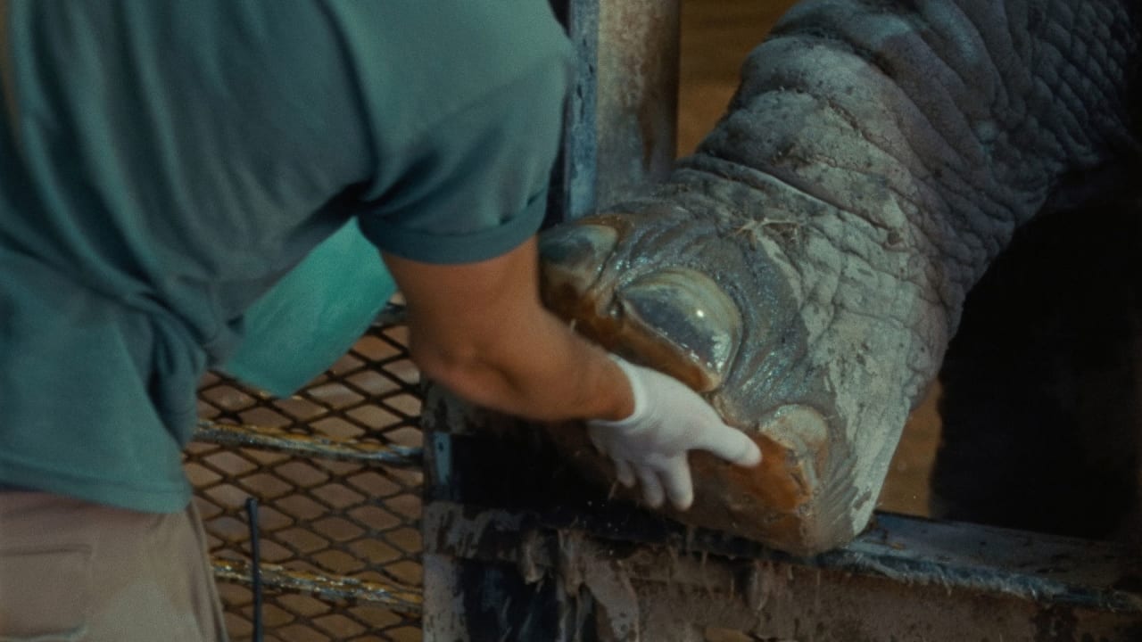 Fotograma de Monólogo colectivo (2025)