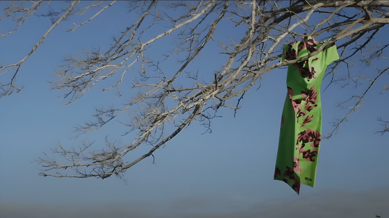 Fotograma de El Affaire Miu Miu (2024)