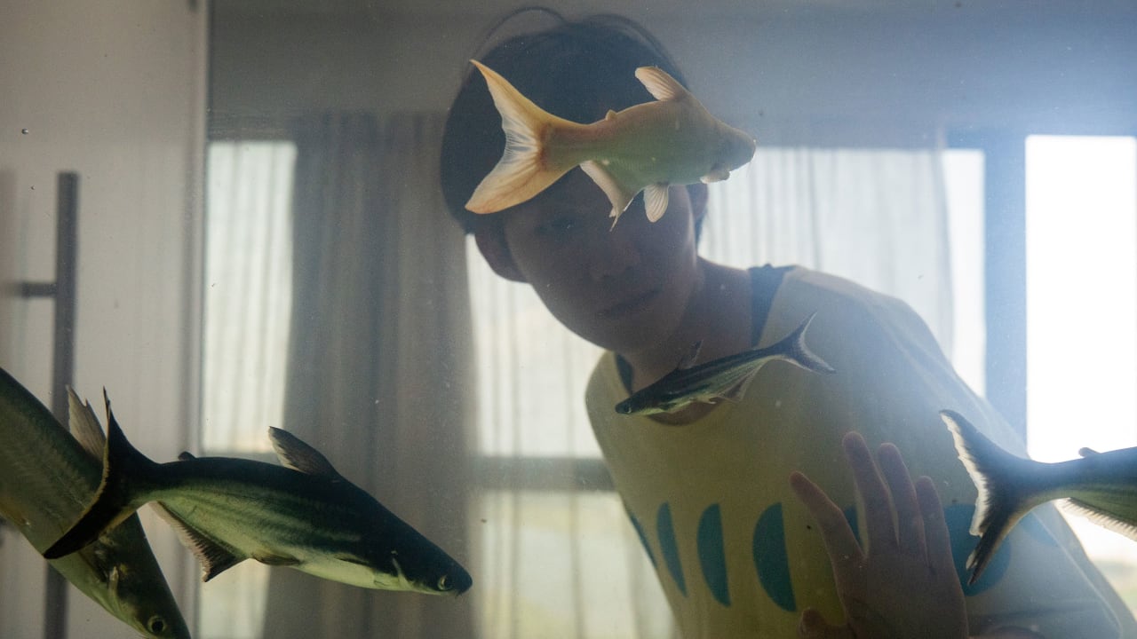 Fotograma de Dormir con los ojos abiertos (2024)