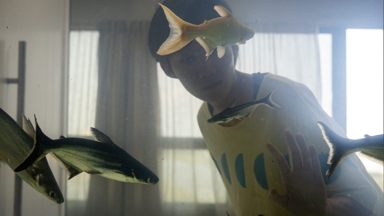 Fotograma de Dormir con los ojos abiertos (2024)