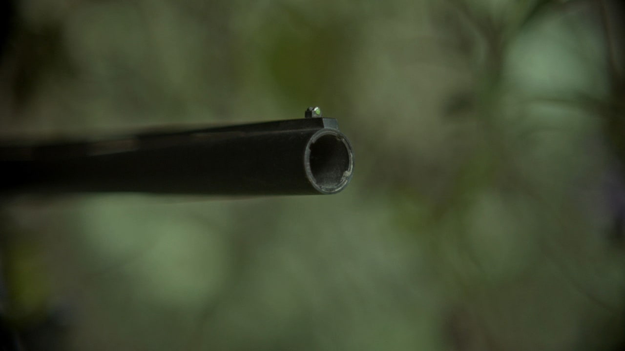 Fotograma de Río blanco (2024)