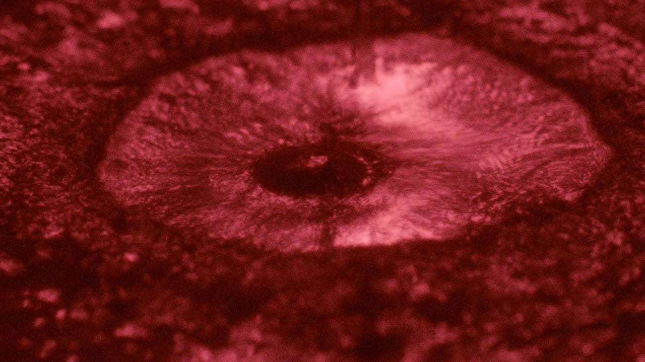 Fotograma de Una sombra oscilante (2024)