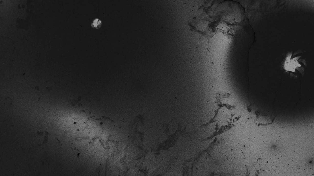 Fotograma de Una sombra oscilante (2024)