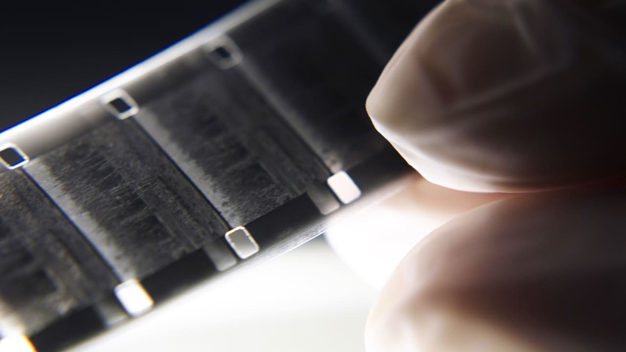 Fotograma de Luz Mala (2024)