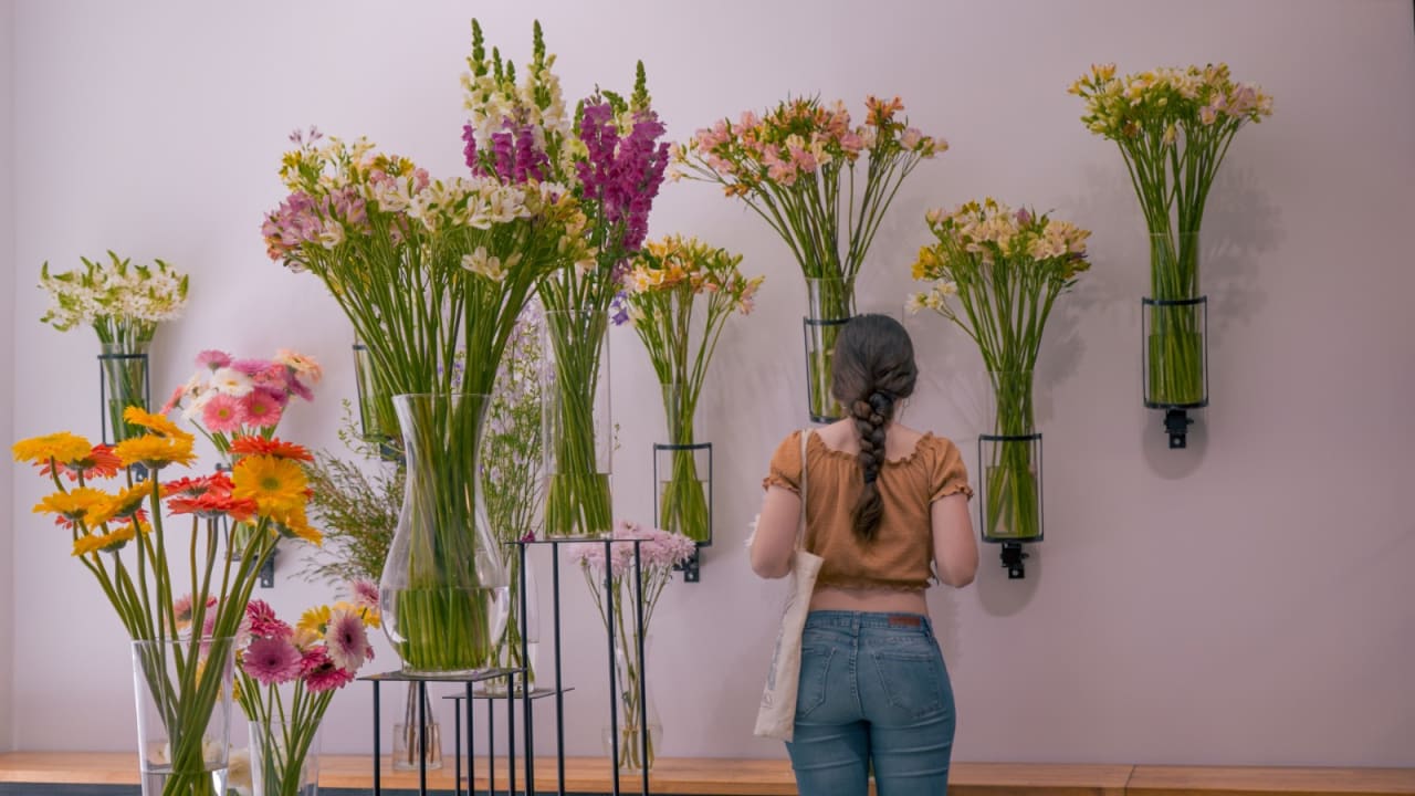 Fotograma de CRESCENDO (2024)