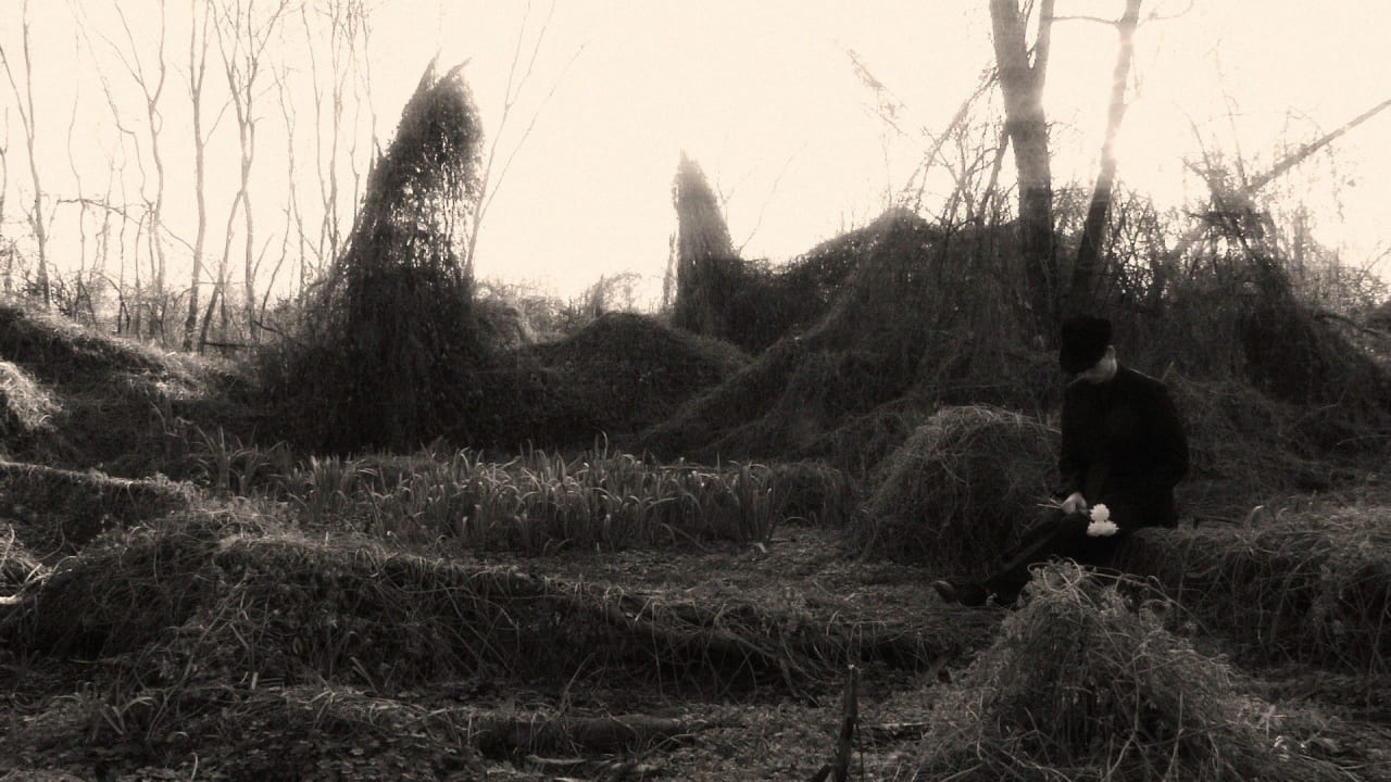 Fotograma de Quiéreme Mucho (2024)