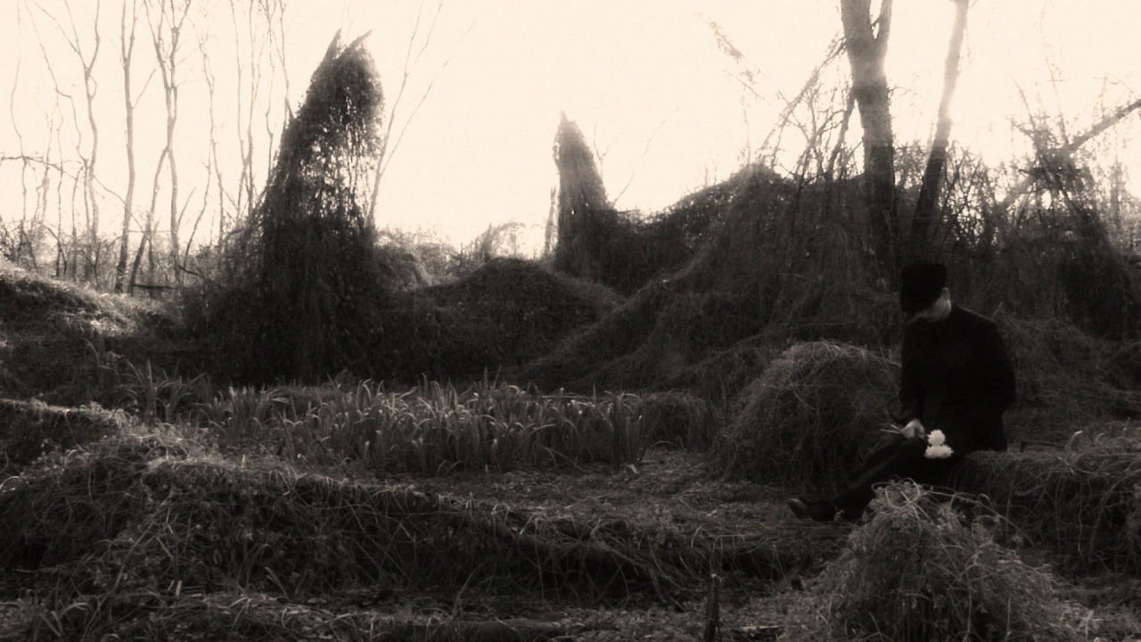 Fotograma de Quiéreme Mucho (2024)