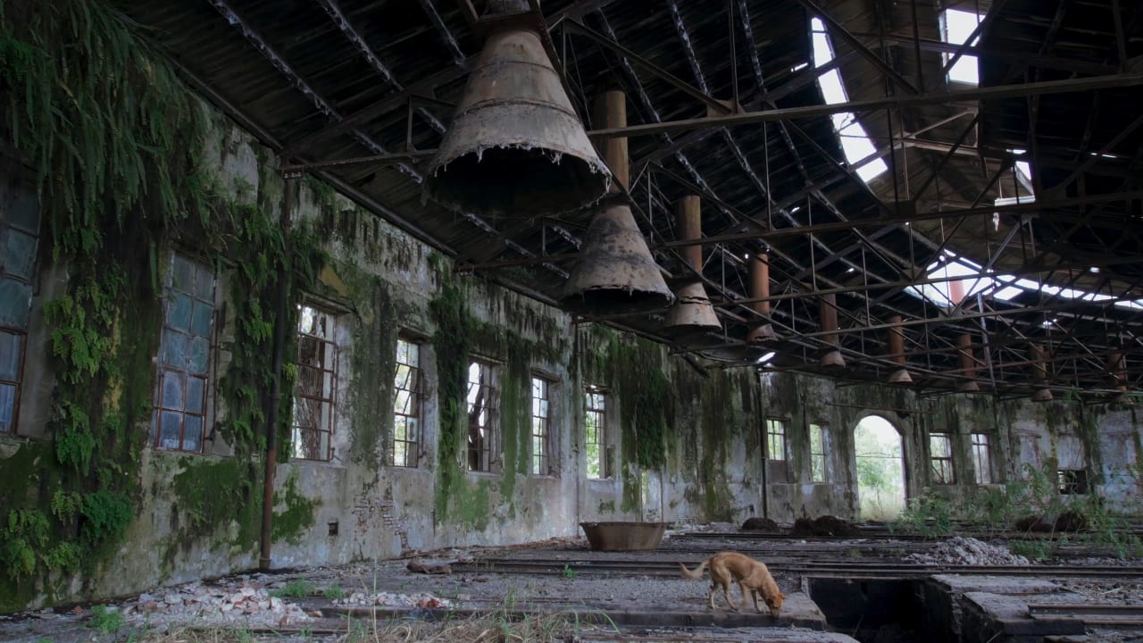 Fotograma de Desentierros. Los libros que no heredamos (2024)