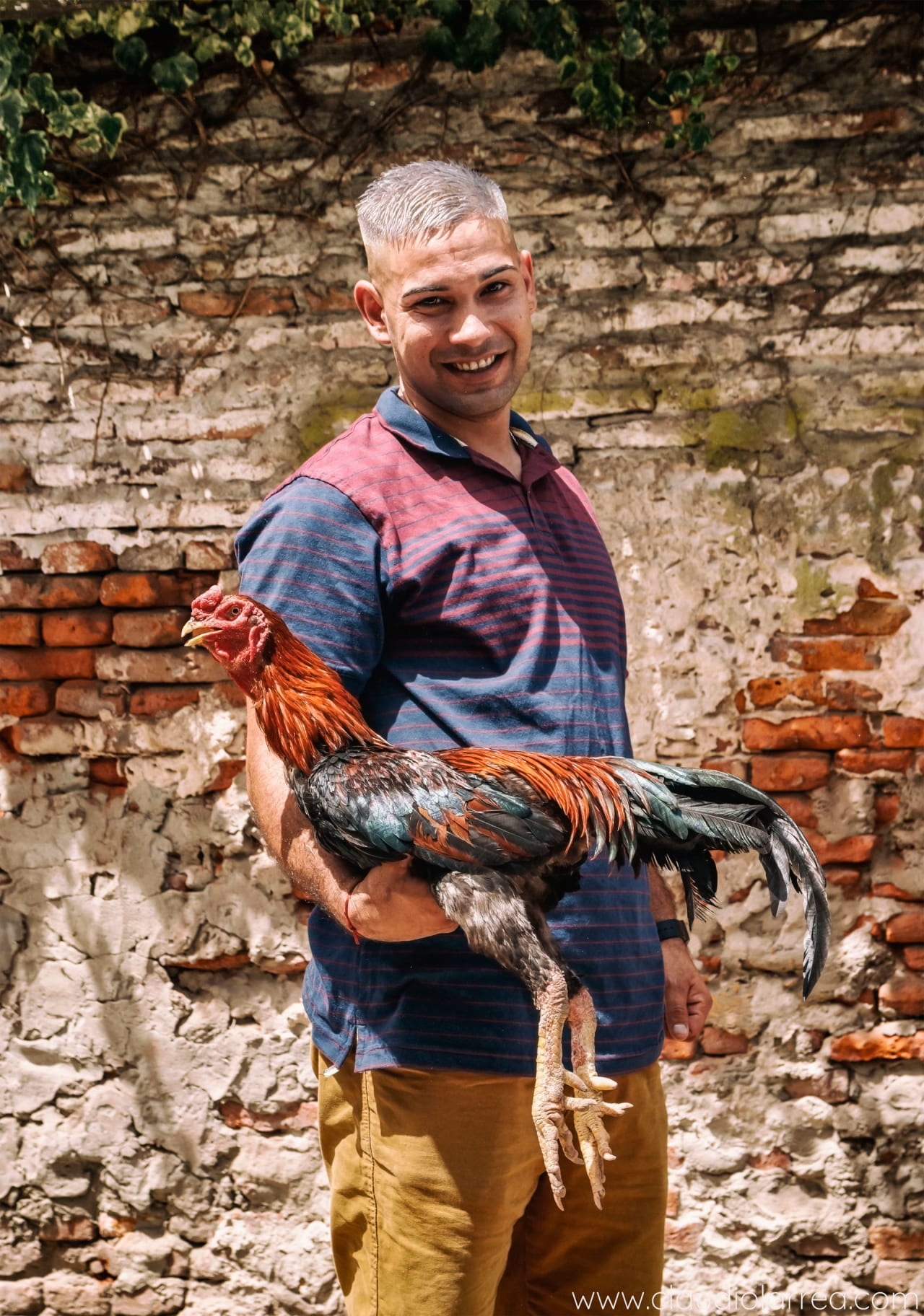 Fotograma de Nene revancha (2026)