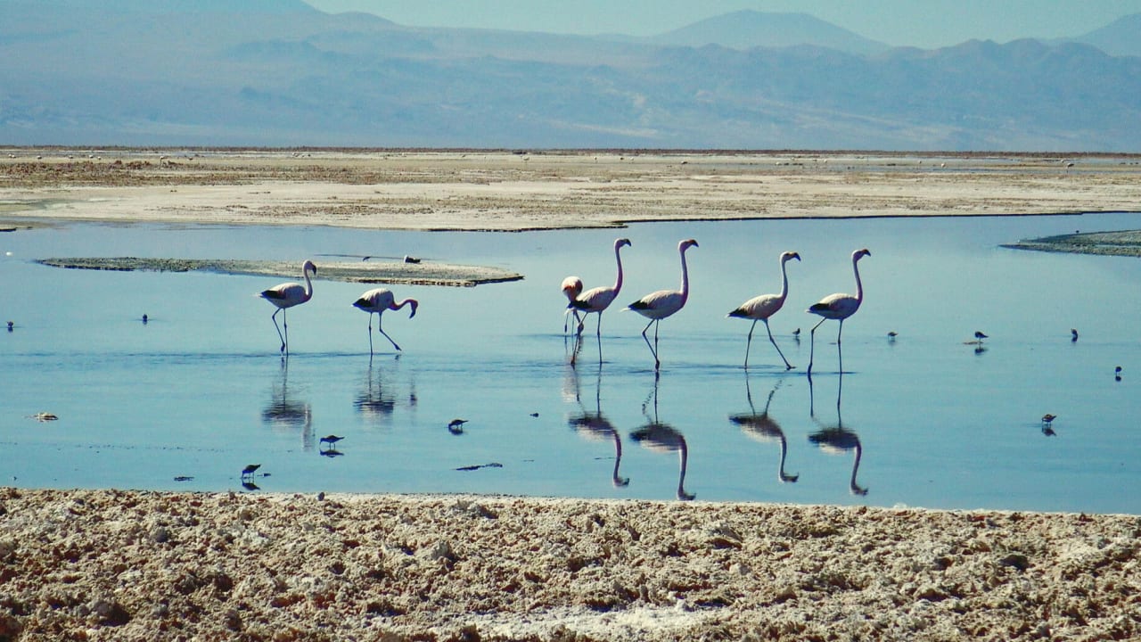 Fotograma de El coste oculto (2023)