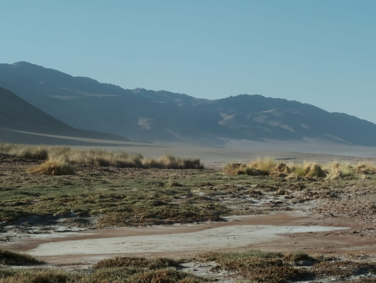 Fotograma de Los niños (2026)