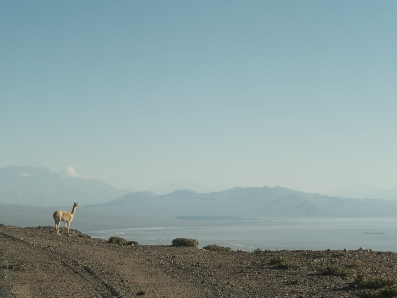 Fotograma de Los niños (2026)