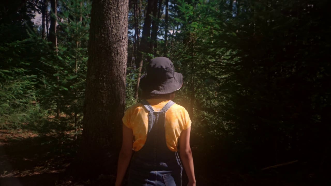 Fotograma de Abrazando la Patagonia (2026)