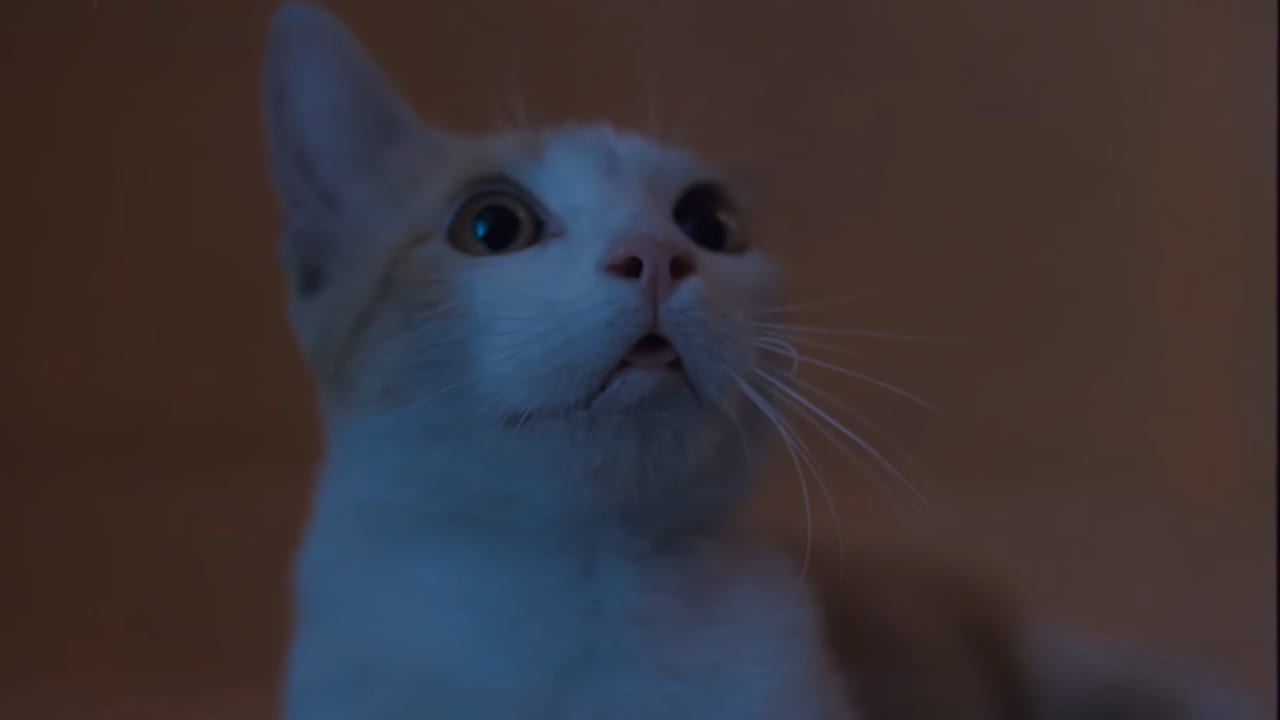 Fotograma de Moebius (1996)