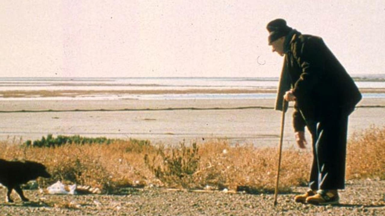 Fotograma de Historias mínimas (2002)