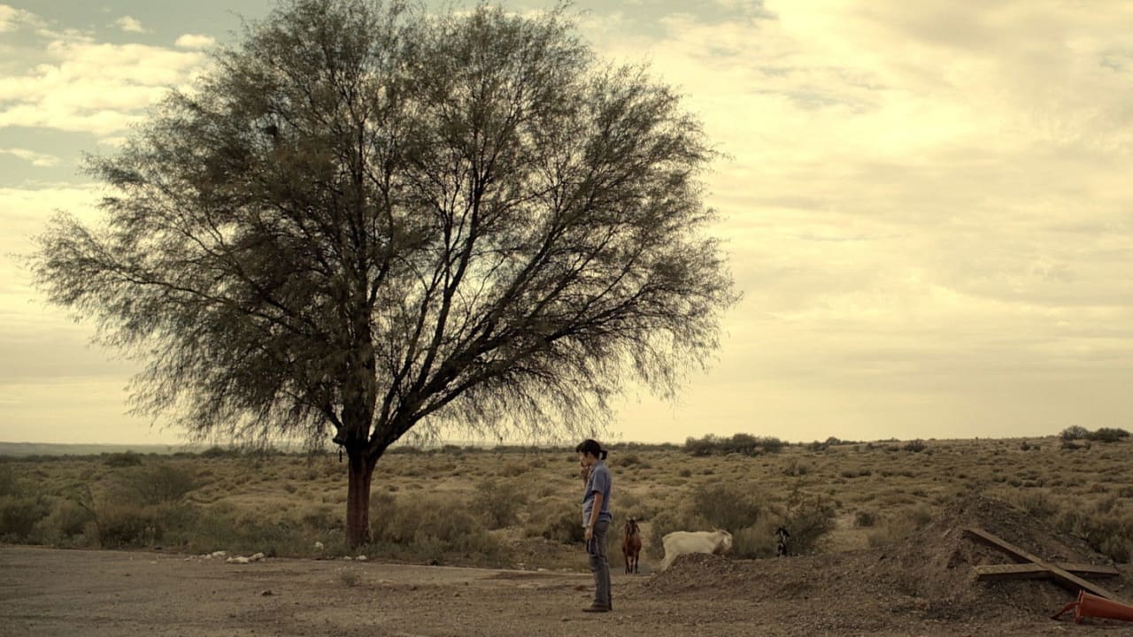 Fotograma de Cómo funcionan casi todas las cosas (2015)