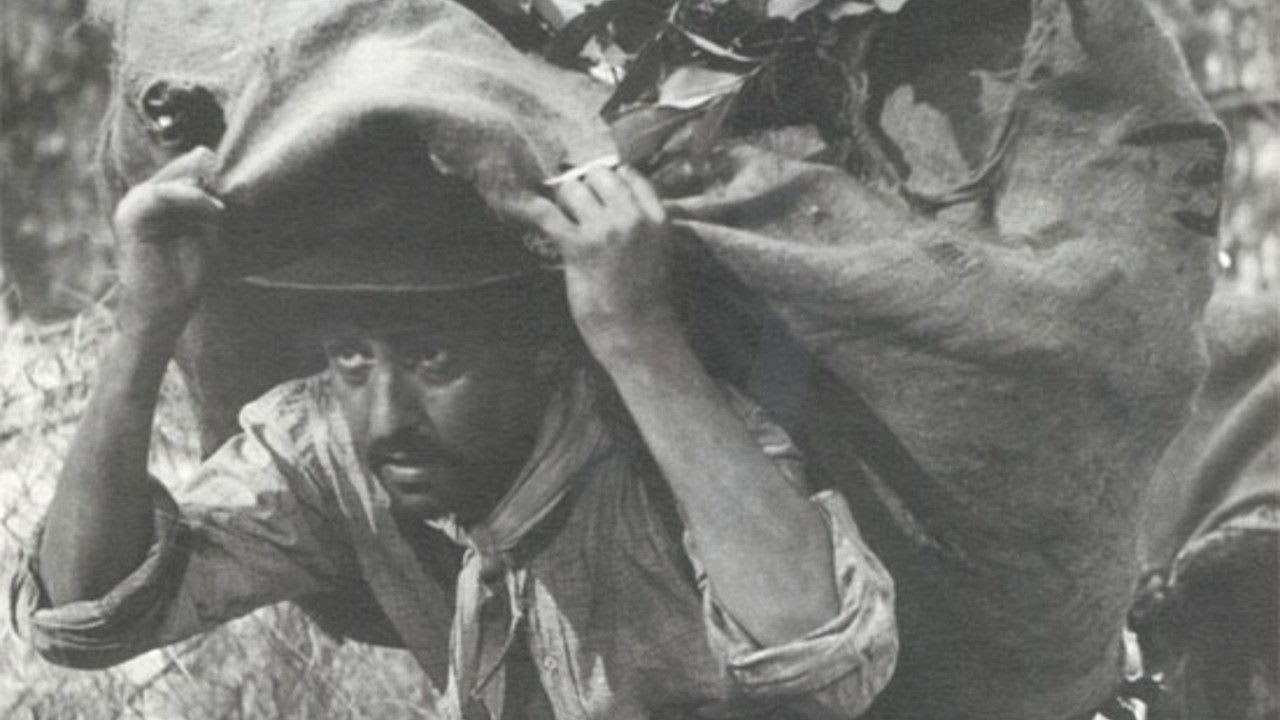 Fotograma de Las aguas bajan turbias (1952)