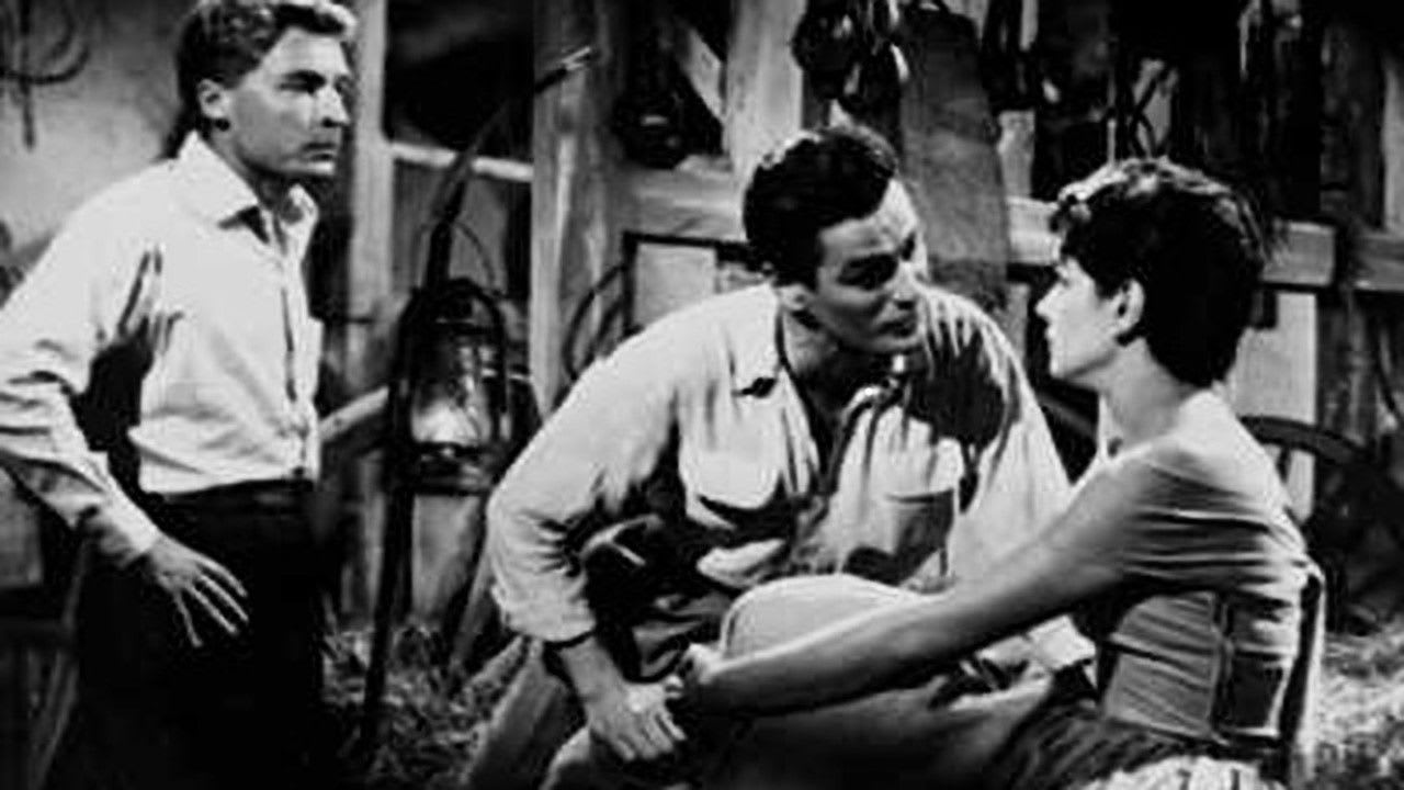 Fotograma de La delatora (1955)