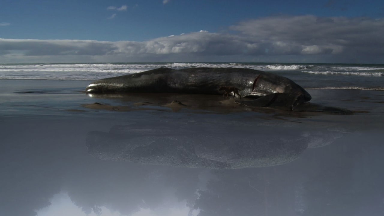 Fotograma de ¡Vivan las antípodas! (2012)